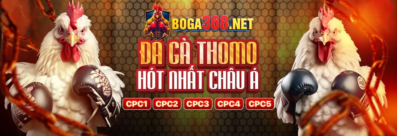 Đá Gà Trực Tuyến 789 Casino